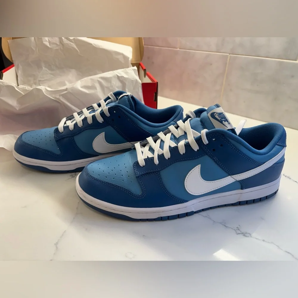 Nike Dunk Low Retro - size 11 - Picture 1 of 8